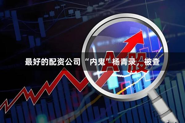 最好的配资公司 “内鬼”杨青录，被查